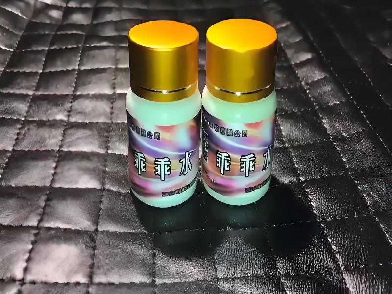 女士专用蓝精灵4263-qqlL型号